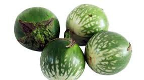 වාජීකරණ ගුණයෙන් යුත් එළබටු