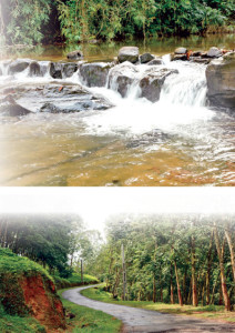 waterfalls-colombo2