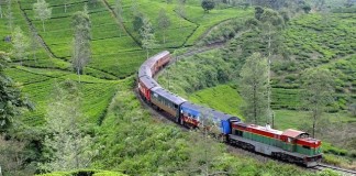 ග්රේට් වෙස්ටර්න් කන්දේ අසිරිය සොයා