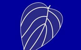 සන්ධානයත් අලුත් මුහුණුවරකින්