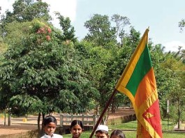 කවුරු බලයට ආවත්…