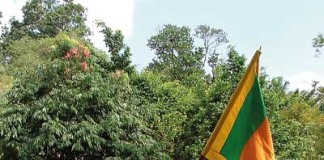 කවුරු බලයට ආවත්…