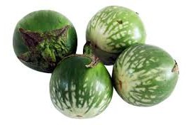 වාජීකරණ ගුණයෙන් යුත් එළබටු