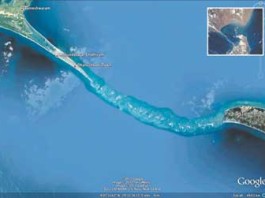 ඉන්දු ලංකා පාලම හා ශ්රී ලාංකික අනන්යතාව