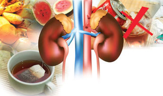 යහපත් වකුගඩු ක්රියාකාරිත්වයකට හිතකර ආහාර ගන්න kidney