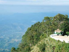 පුංචි ලෝකාන්තයක අසිරිය ලිප්ටන් සීට්