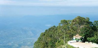 පුංචි ලෝකාන්තයක අසිරිය ලිප්ටන් සීට්