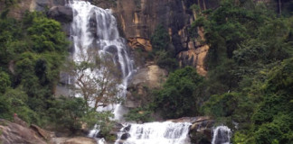 රාවනා ඇල්ලට පැන දිවි නසා ගැනීමට හැදූ පියා හා දියණියන් බේරා ගැනේ