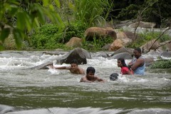 වහාම 119 ට කතා කරන්න