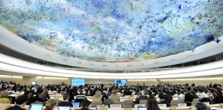 කොටි සැකකරුවන්ට දඬුවම් මිස නිදහස නොදිය යුතුය