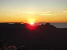 වන්දනාවේ යන සමනල්ලු – butterflies-fly-adamspeak adams-peak-sunrise