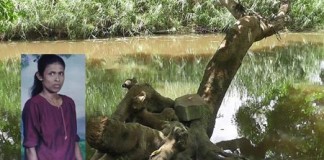 දෙපැතත්ට ඇද කිඹුලාගේ කට ඇර අම්මාගේ ජීවිතය බේරාගත් වීර පුතෙක් – Crocodile attack at kalawewa crocodile-attack-at-kalawewa