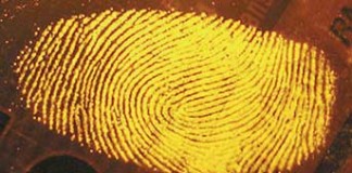 ප්රභාකරන්ගේ ඇඟිලි සලකුණු තහවුරු කළ පොලිස් නිලධාරීන්ට සිදු වූ දේ