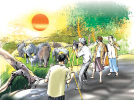 නැගෙනහිර පළාතේ ගල් තලාවක අලි රංචුවකුත් සමග ඉර නගිනවා බලා සිටියෙමි – Sun rise with herd of Elephants elephants