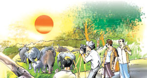 නැගෙනහිර පළාතේ ගල් තලාවක අලි රංචුවකුත් සමග ඉර නගිනවා බලා සිටියෙමි – Sun rise with herd of Elephants elephants