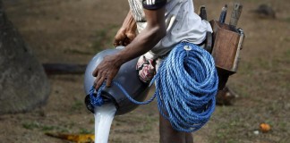 මතට තිත ‘රා’ වලටමයි හිත – Palm toddy spread in Colombo palm-toddy