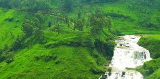 පරිසරයට වඩා මුදල වටී – (මෙය ලංකා ආණ්ඩුවේ පණිවුඩයකි) – Money has more value than environment