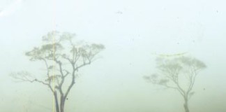 ආණ්ඩුකාරයා මුසපත් කළ මහවැලිතැන්න හෝටන්තැන්න වෙයි hortan-plain