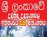 ශ්රී ලංකාවේ උද්භිද උද්යානවල ඉතිහාසය සහ අනාගතය – Sri Lanka Botanical Gardens History and Future Sri Lanka Botanical Gardens