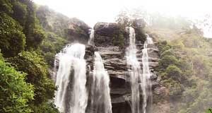 මහ වනයේ තනිවුණු බෝඹුරු ඇල්ල සොයා – Boburu waterfall nuwaraeliya boburu-waterfall-nuwaraeliya