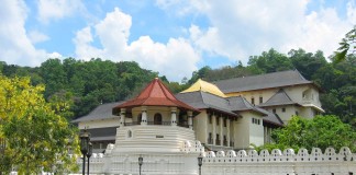 මානවයන් විනාශ වී ඉතිරි වන උරුමයන් හි වටිනාකම් තීරණය කරන්නේ කවුද? – දළදා මාලිගාව ළඟ පාරේ අර්බුදය