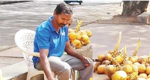 කොළඹ මහා කොන්ක්රීට් වනාන්තරය මැද රෑට මැවෙන ‘කැලෑ පොළ’ – Jungle market at night in Colombo