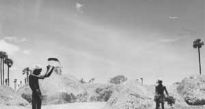 කෘෂි රසායනයට ලොව හොදම විකල්පය සොයාගත් අපේ මිනිස්සු – Best alternative for Pesticide found by Sri Lanka