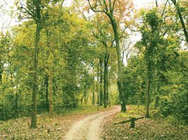 ලංකාවේ වැඩිම මිනිසුන් ගණනක් මරා දැමූ සිත්තාරු පාරේ පයින් ගමනක්… මියගියවුන් ඇඳ සිටි ඇඳුම්වල කොටස් තවමත් ගස් මුදුන්වල…..