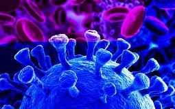 Which is more dangerous, Covid or Covidiot?