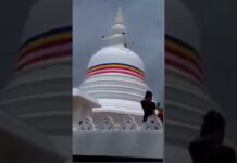 විජිත හේරත් චෛත්යයක කොතක් නිරාවරණය කරද්දී කොත කැඩී බිමට ඇද වැටේ…